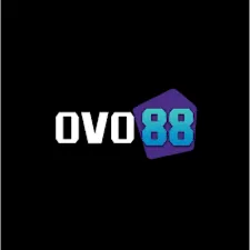 ovo88 — ikon APK